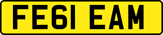 FE61EAM