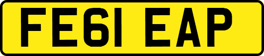 FE61EAP
