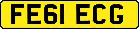 FE61ECG