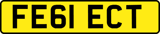 FE61ECT