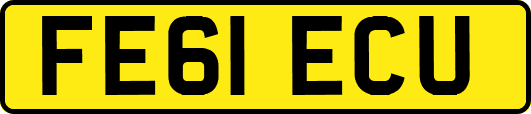 FE61ECU