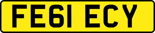 FE61ECY