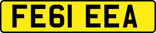 FE61EEA
