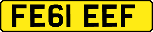 FE61EEF