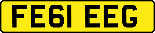 FE61EEG