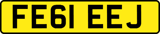 FE61EEJ