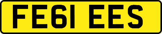 FE61EES