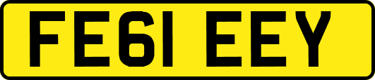 FE61EEY