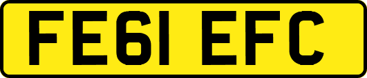 FE61EFC