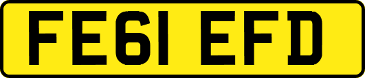 FE61EFD