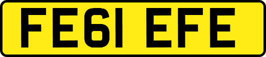 FE61EFE