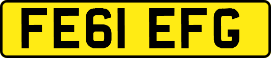 FE61EFG