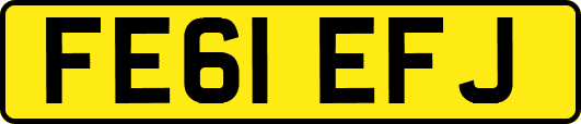 FE61EFJ