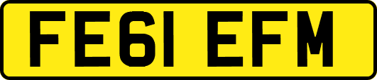 FE61EFM