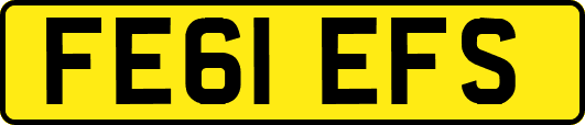 FE61EFS