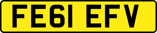 FE61EFV