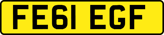 FE61EGF