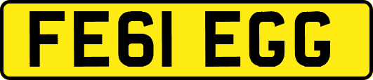 FE61EGG