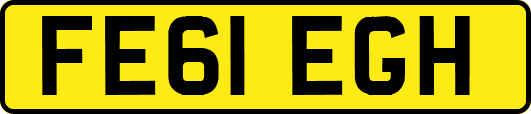 FE61EGH