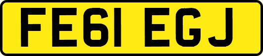 FE61EGJ