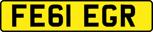 FE61EGR