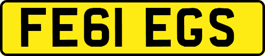 FE61EGS