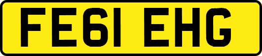 FE61EHG