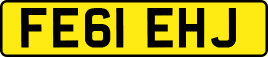 FE61EHJ