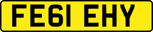 FE61EHY