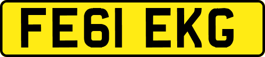 FE61EKG