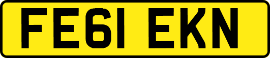 FE61EKN