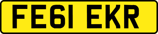 FE61EKR
