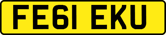 FE61EKU