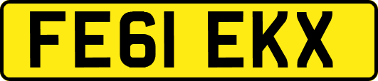 FE61EKX