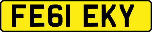 FE61EKY