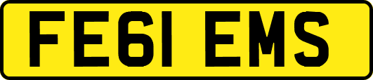 FE61EMS
