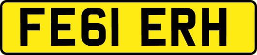 FE61ERH