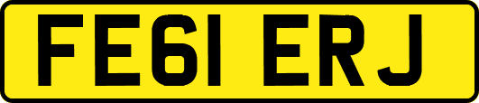 FE61ERJ
