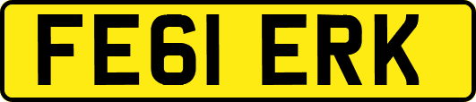 FE61ERK
