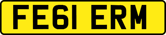 FE61ERM