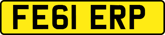 FE61ERP