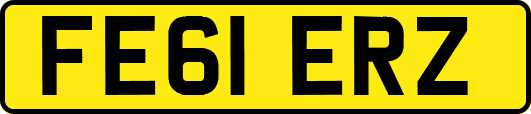 FE61ERZ