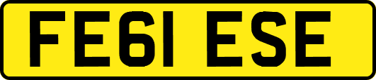FE61ESE