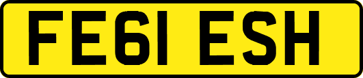 FE61ESH