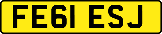 FE61ESJ