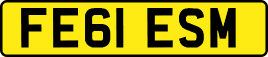 FE61ESM