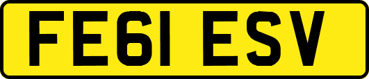 FE61ESV