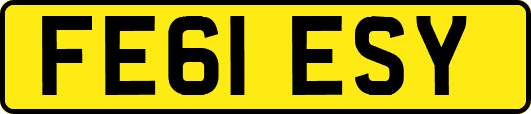 FE61ESY