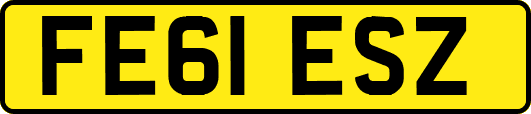 FE61ESZ