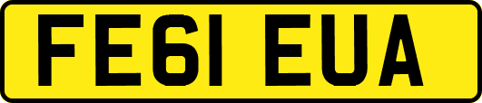 FE61EUA
